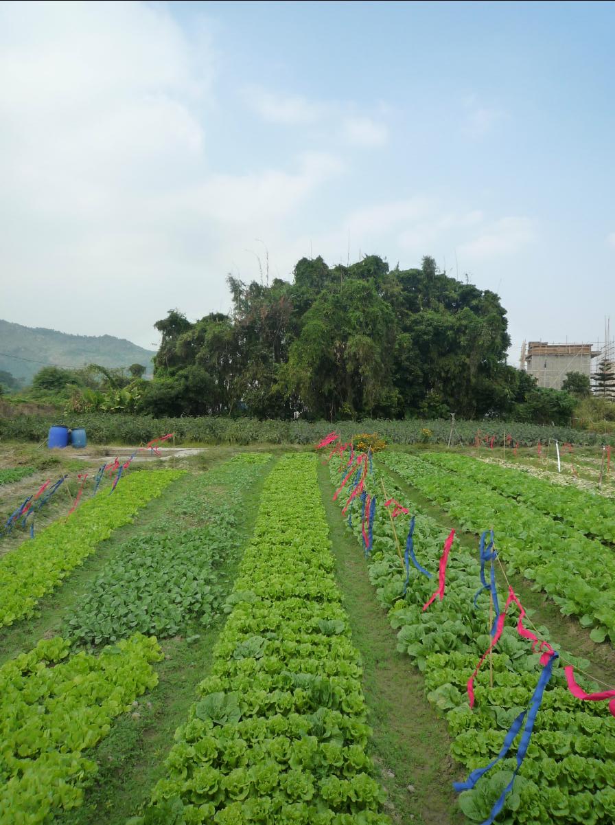 20101127 THE Organic Farm20